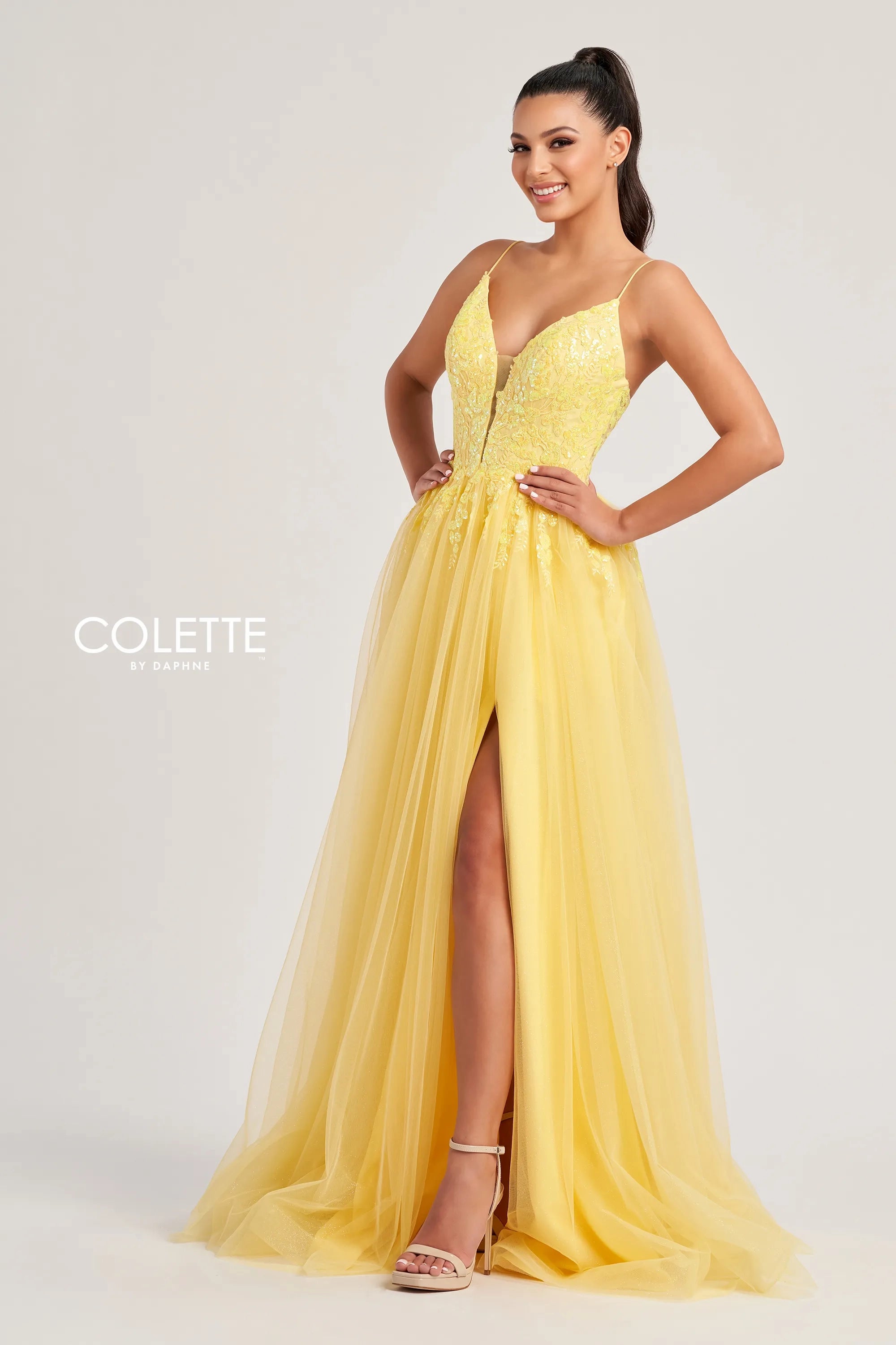 Colette by Daphne CL8030 Long Lace Glitter A Line Formal Prom Dress